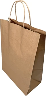 10 x 5 x 13 Kraft Paper Bag wih Twist Handle