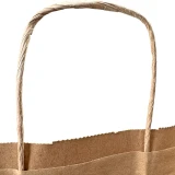 10 x 5 x 13 Kraft Paper Bag wih Twist Handle