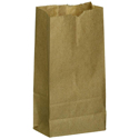 Duro 30 Gallon Self-Standing 2-Ply Printed Natural Kraft Paper Lawn and  Leaf Bag 22453 - 60/Case