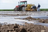 Black plastic sheeting being used on Farm with Tractor