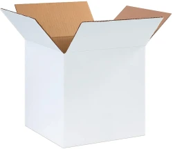 10" x 10" x 10" White Cardboard Boxes