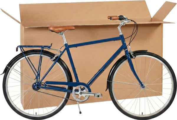 56 x 10 x 32 Bike Boxes