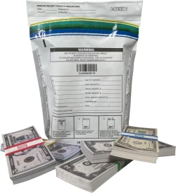 Plastic Security Bags 9 x 12 Secur-Pak Opaque Back