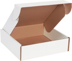 10 x 10 x 3 Deluxe Literature Mailers