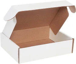 11 1/8 x 8 3/4 x 3 Deluxe Literature Mailers