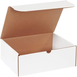 11.125" x 8.75" x 4" White Literature Mailers