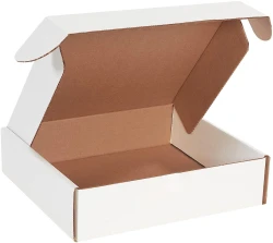 12 x 11 x 3 Deluxe Literature Mailers