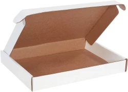 15 1/8 x 11 1/8 x 2 Deluxe Literature Mailers