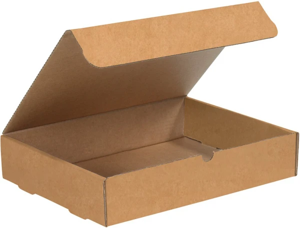 Kraft 15.125x11.125x3 literature mailer