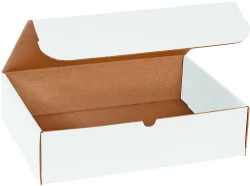 15.125" x 11.125" x 4" White Literature Mailers