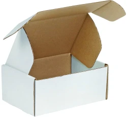 9 x 6 1/4 x 4 Deluxe Literature Mailers