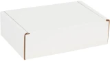 Securely Closed 9 x 6.5 x 2.75 White Cardboard Literature Mailer