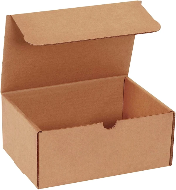 Kraft 9x6.5x4 literature mailer