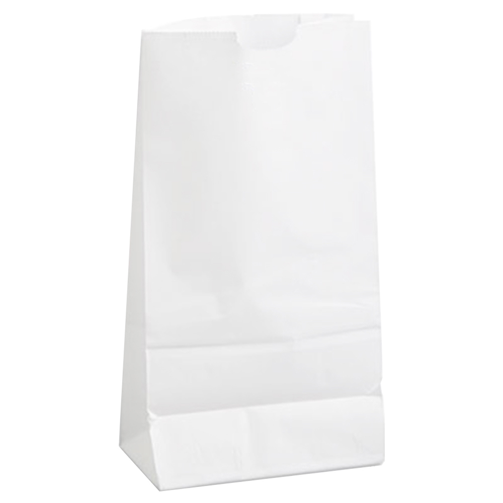 Duro Paper Bags 10 Heavy Duty 