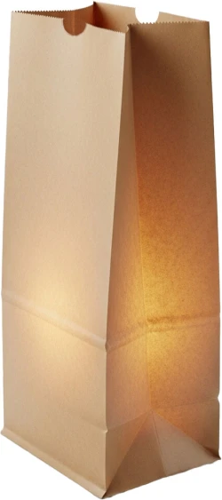 4 lb. Kraft Grocery Bags