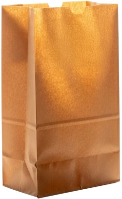 6 lb. Kraft Grocery Bags