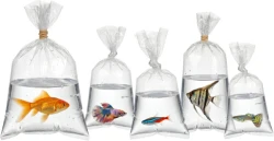 Plastic Fish Bags