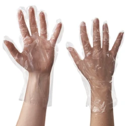 Food Service Gloves