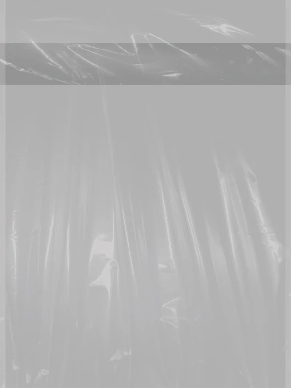 Clear 9 x 12 x 1 mil flap lock poly bags
