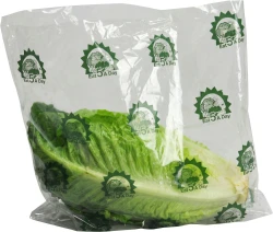 12" x 9.75" + 4" Vented Lettuce Bags