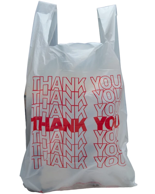 10 x 5 x 18 Thank You Shopping Bags