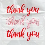 THANK YOU THANK YOU THANK YOU 12 x 7 x 22 Heavy Duty Thank You Bags with a Flat Bottom