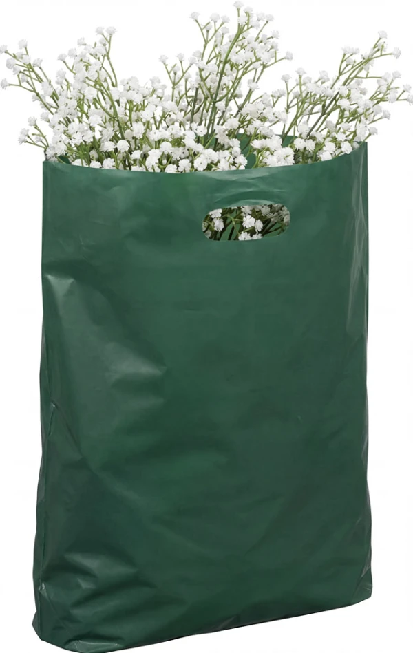 Hobby Flowers in a 9x13+2 2.5 Mil Hunter Green Fold-Over Reinforced Die Cut Handle Bags