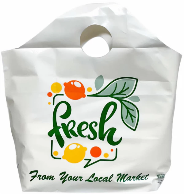 Plastic Bags vs Reusable Bags Which is Best?