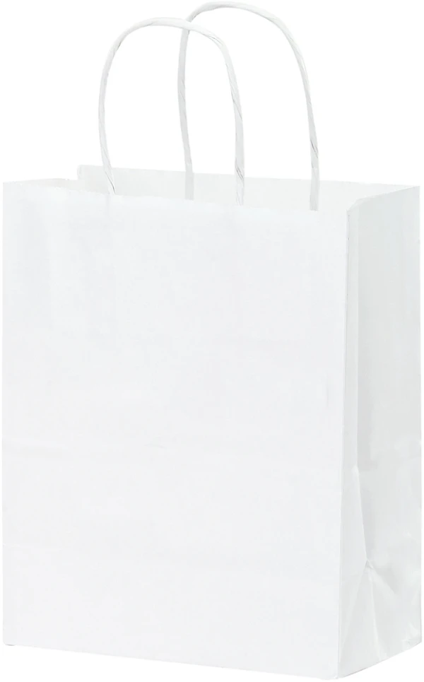 White Twisted Paper Handle Gift Bag