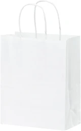 White Twisted Paper Handle Bag